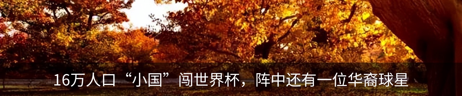 内页banner